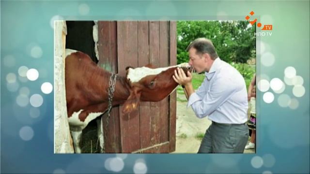 Люмпен шоу. Выпуск 30 | НЛО TV смотреть онлайн