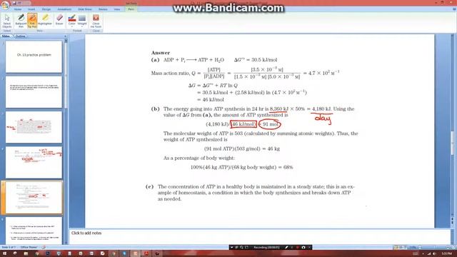 Ch 13 Practice Problems Review смотреть онлайн