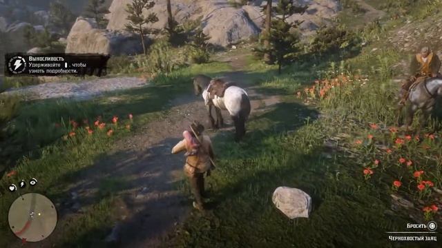 Red Dead Redemption 2. Уходит с уязвлённым самолюбием. глава 2 смотреть онлайн