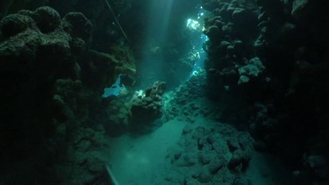 Red sea Dive safari 2023 pt.. смотреть онлайн