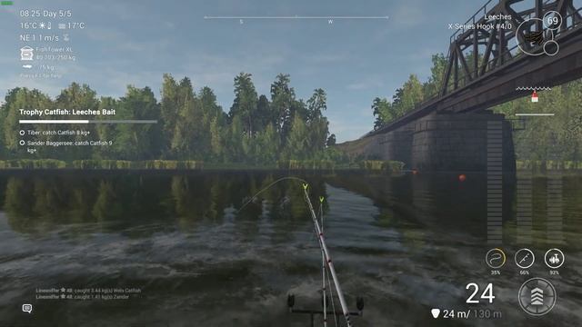 Fishing Planet | Trophy catfish: Leeches, Akhtuba River смотреть онлайн