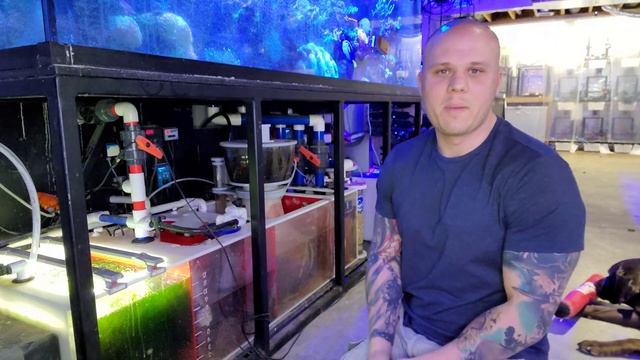 If You Have Kids And A Sump Watch This Video It Could Save Your Reef Tank смотреть онлайн
