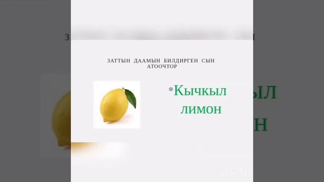 Кыргыз тили сабагы 3-класс смотреть онлайн