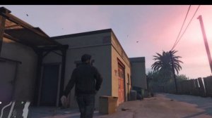 Где находятся мазайки обезьян в GTA 5