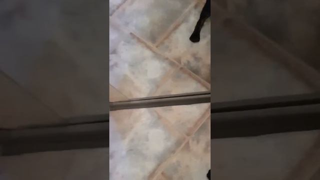 наш пес Бруно Марс смотреть онлайн