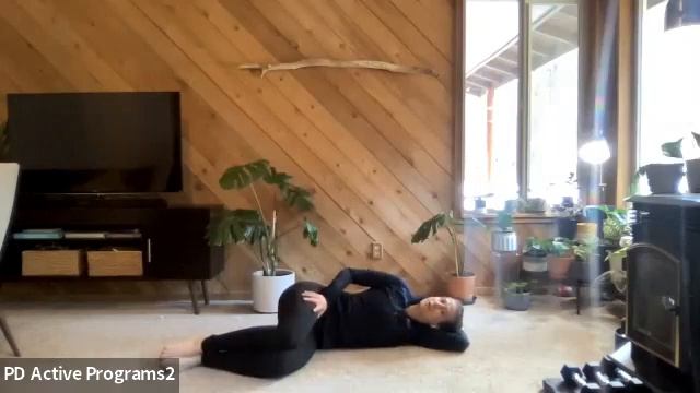 Neuro-Movement Training with Steph Comella for PD Active - March 23, 2023 смотреть онлайн