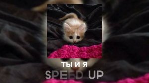 краснею, бледнею, блестаешь, тускнею° Нежное это - Ты и я (SPEED UP)
