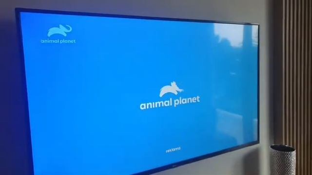 Animal Planet Logo