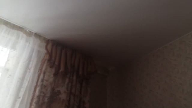 Отзыв от Александра Доленко о компании Потолок Альянс смотреть онлайн