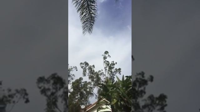 Мой шарик улетает смотреть онлайн