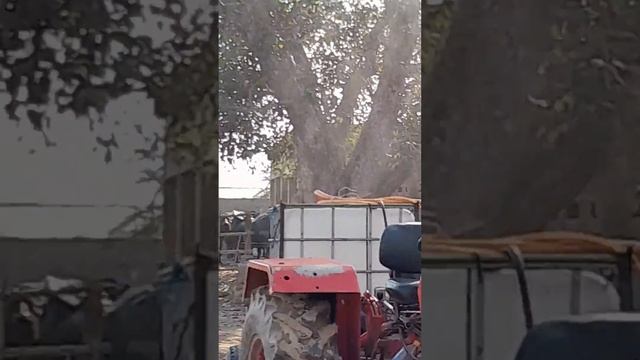 Spray Of Humic Stars at Ex Minister Sr Gurchet Singh Bhullar Mehmoodpura Distt Tarn Taran смотреть онлайн