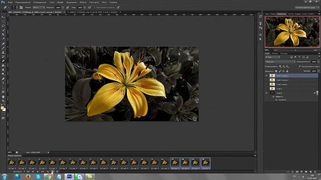 Анимированная лилия (мастер класс) Ps6