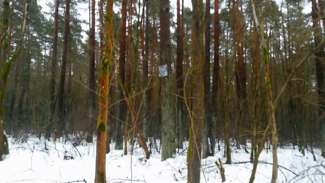 Странная Табличка в Лесу! НЛО? смотреть онлайн