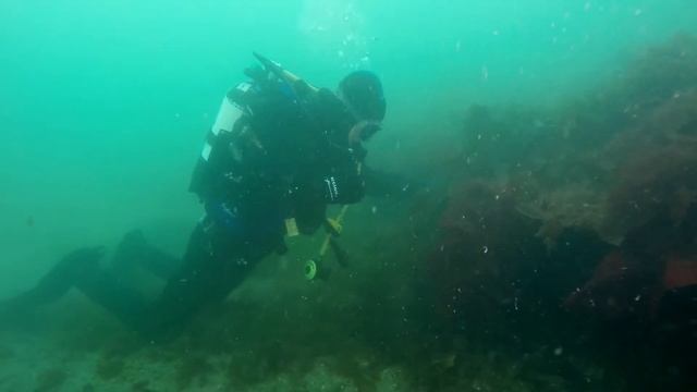 The Pins - Dive site near Portaferry in Northern Ireland смотреть онлайн
