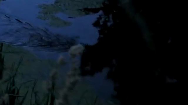 Крыса в воде смотреть онлайн