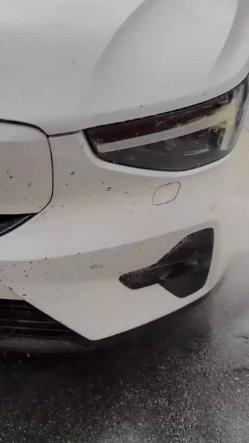 Achieve Quick and Effective Cleaning with Koch Chemie Insect & Dirt Remover! #viral #shorts смотреть онлайн