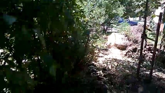 WP 20160705 13 55 38 Pro смотреть онлайн
