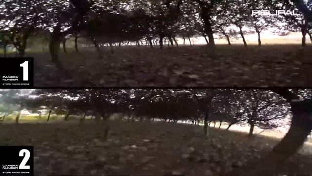 5 רחפני המירוץ הטובים ביותר בעולם