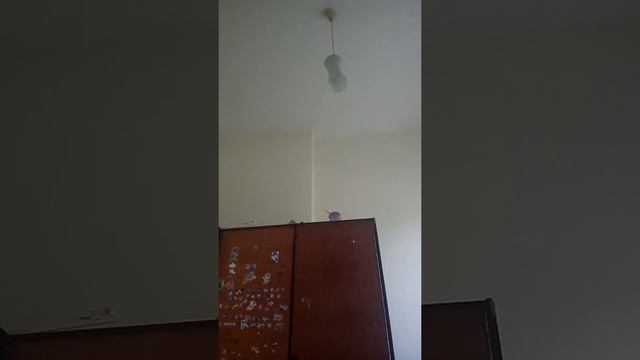 Абзур на крутые часы с америки смотреть онлайн