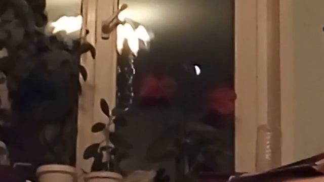 Лунное затмение(3)