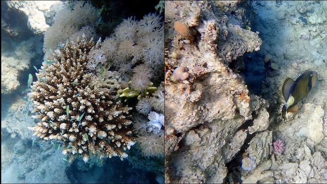 Marsa Alam, Port Ghalib Resort, sept. 2017 смотреть онлайн