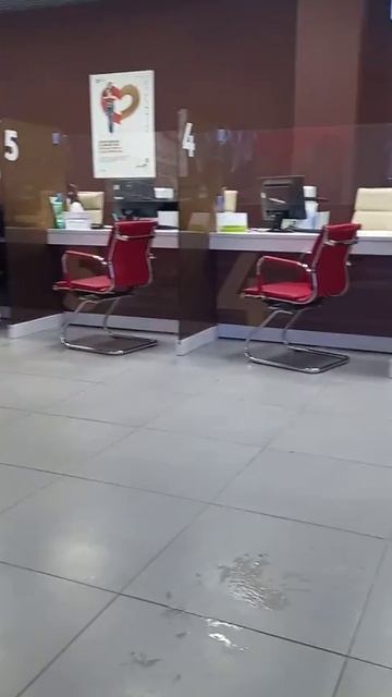 ‼️МФЦ В КУРСКЕ🤔 ЗАЧЕМ НУЖНА ПРЕДВАРИТЕЛЬНАЯ ЗАПИСЬ⁉️ смотреть онлайн