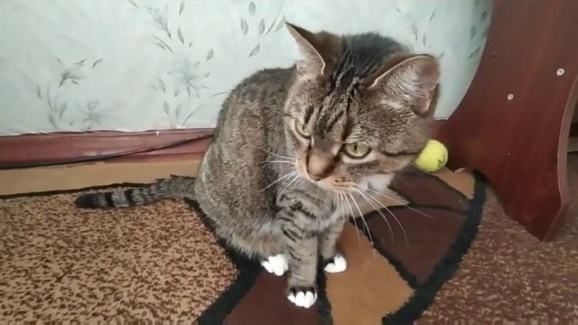 💖😻ДЕВОЧКОМОМЕНТЫ 😻💖9.02.2023 г.💖 смотреть онлайн