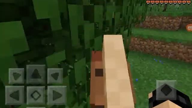 Лагерь Меркурий #5 с Koroleva Kisa и Amazing Slava #НАШЛИ ДОМ ЛЕСНИКА И ЕГО ТАМ НЕТ!! ЖИВЕМ ТЕПЕРЬ смотреть онлайн