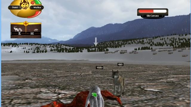 *Новая территория* Wolf Quest смотреть онлайн