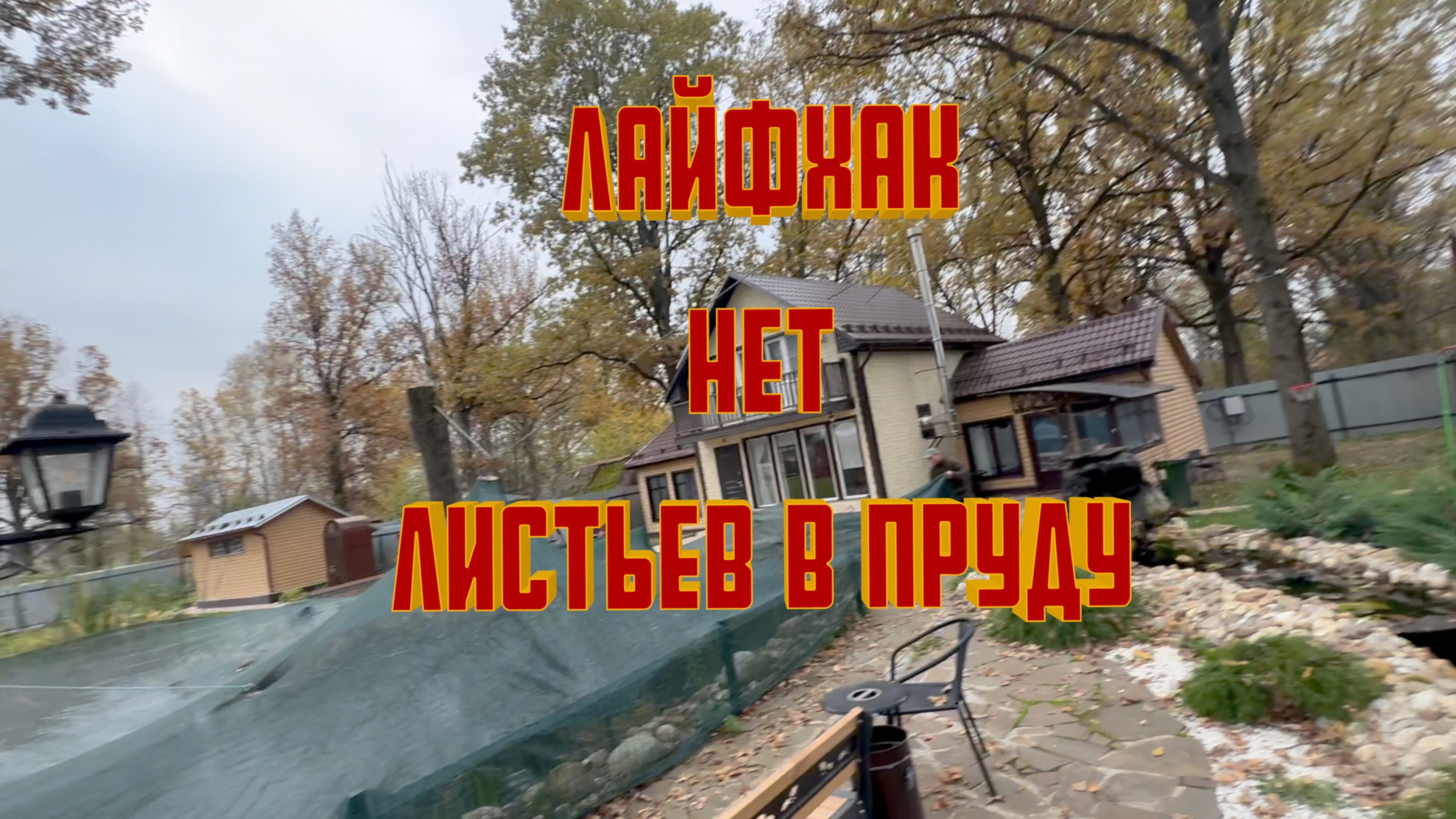ПРУД ОСЕНЬ 2024 ЧИСТАЯ ВОДА смотреть онлайн