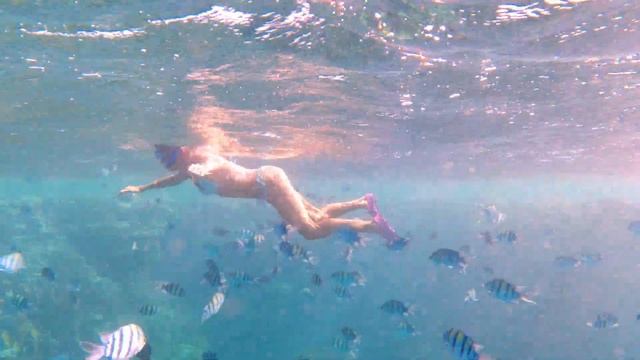 MARSA ALAM ROYAL BRAYKA Resort / Una Vacanza Indimenticabile!!! #redsea #vacation