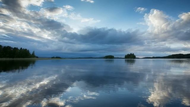 Построил пруд возле дома и запустил туда форель и стальноголового лосося. смотреть онлайн