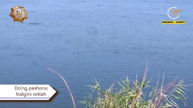 «Baliq ovi» | Дўнг пешона балиғини овлаш [22.08.2021] смотреть онлайн