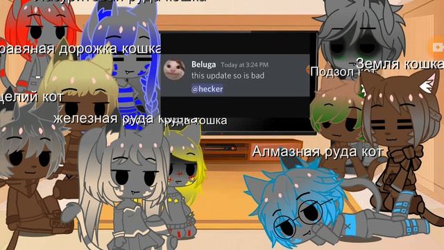 Реакция блоков кошек из майкафта на белугу если бы Appli владели дискордом. 😁😁 смотреть онлайн