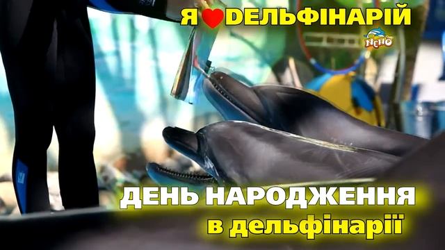 День рождения в Киевском  дельфинарии 