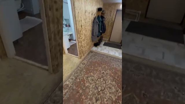 Сабик видео