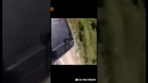 Лай лай лай лай ла ла ла лай