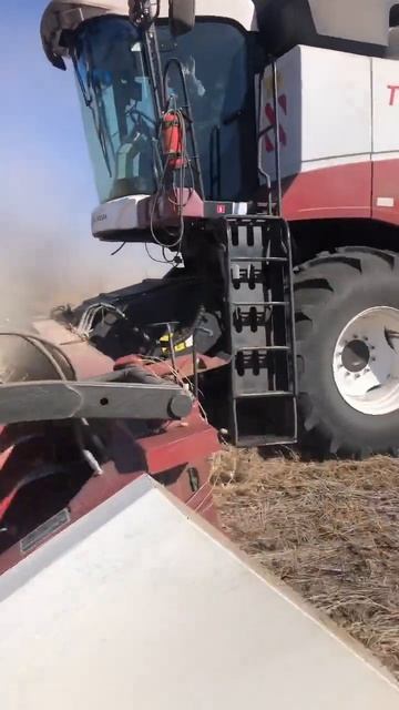 Уборка нута Торум 750 смотреть онлайн