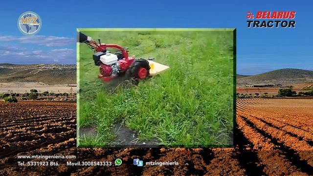 MOTOCULTOR BELARUS 09H + ACCESORIOS смотреть онлайн