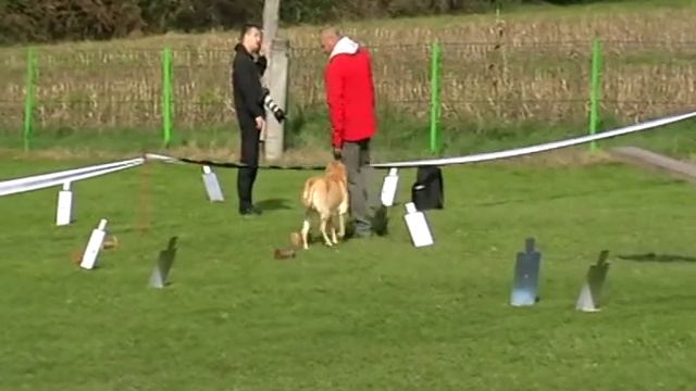 Brane In Ben - ROII, KD Pluton, 21.10.2012, 10. Mesto