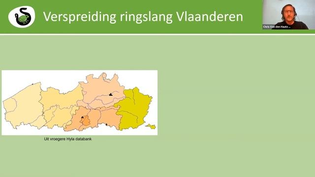 Hyla webinar - De Gevlekte ringslang in Vlaanderen - 27/05/2021 смотреть онлайн