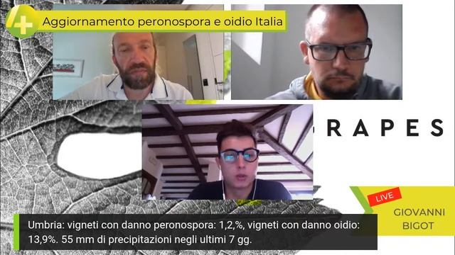 Situazione peronospora e oidio Italia con Giovanni Bigot, ospiti Davide Mosetti e Nicola Bartoletti смотреть онлайн