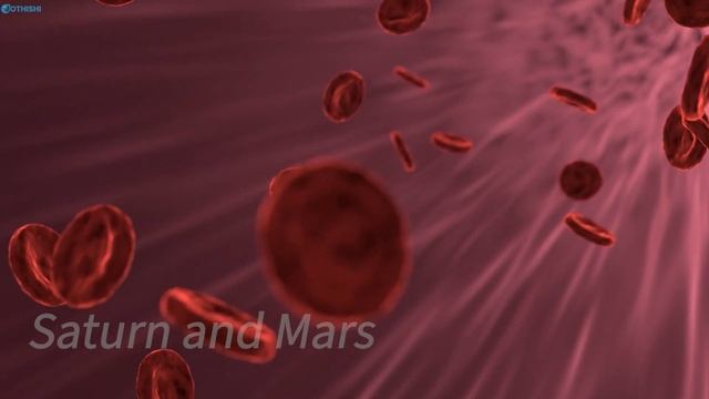 Connection Between Vedic Astrology and Health @Jothishi смотреть онлайн