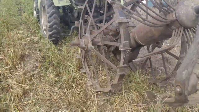 Розпочався сезон копання картоплі | підготовив поле , копаю мототрактором смотреть онлайн