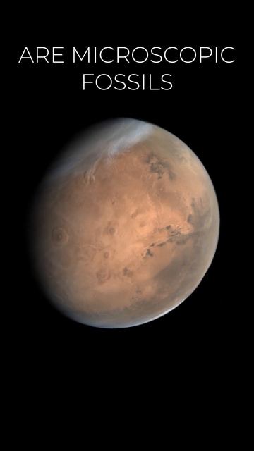 There is life on mars? смотреть онлайн