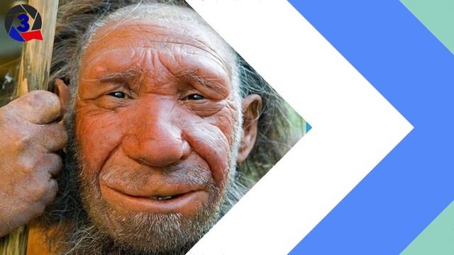 Адам эволюциясы туралы 5 аңыз смотреть онлайн