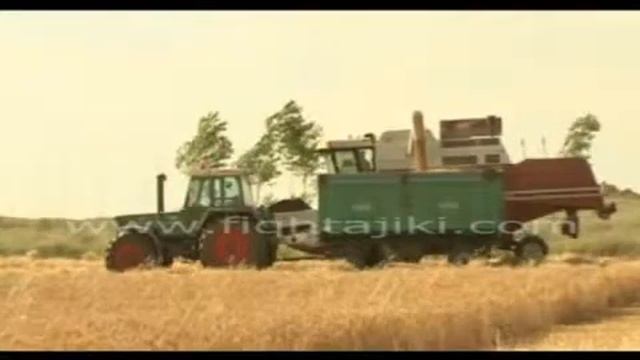 Закот [3], Закоти донаҳо ва меваҷот смотреть онлайн