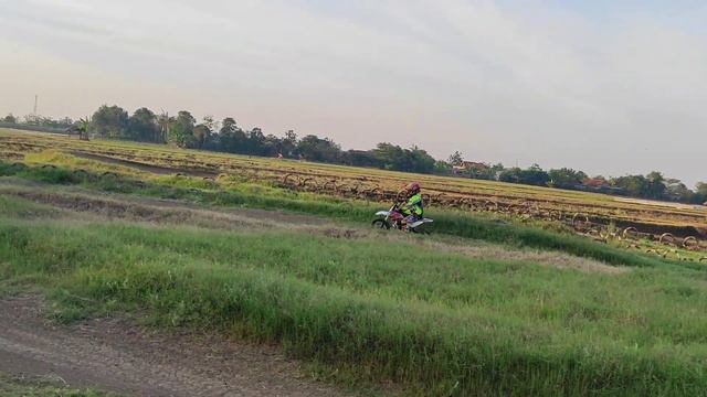 mini moto SSR 50 cc #9 Bintang RP vs GTX yamaha jupiter смотреть онлайн