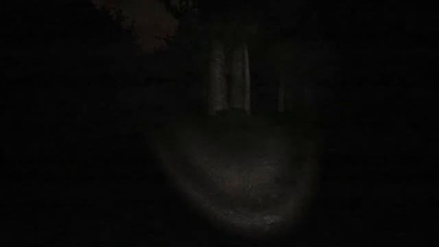 Slender: The Eight Pages (Первая вылазка на прогулку) смотреть онлайн