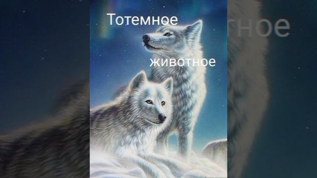 Квест - вижн⭐⭐Поиск своего тотемного животного🐺✨✨ смотреть онлайн